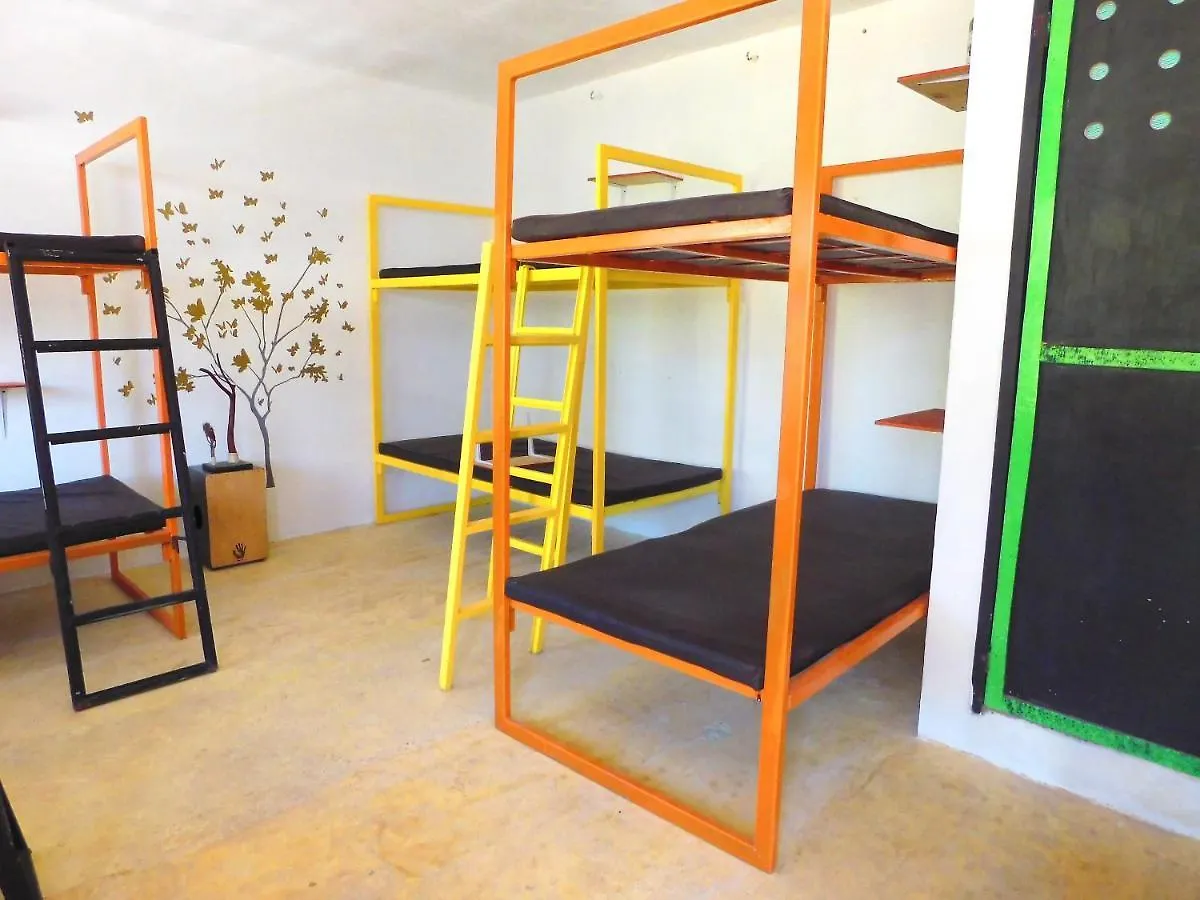 Chakpool Hostal & Camping Cancún Mexiko